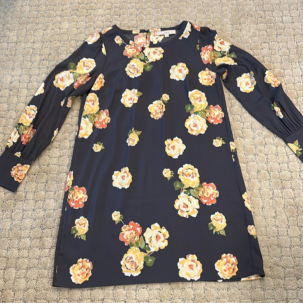 Loft Women’s Dress
